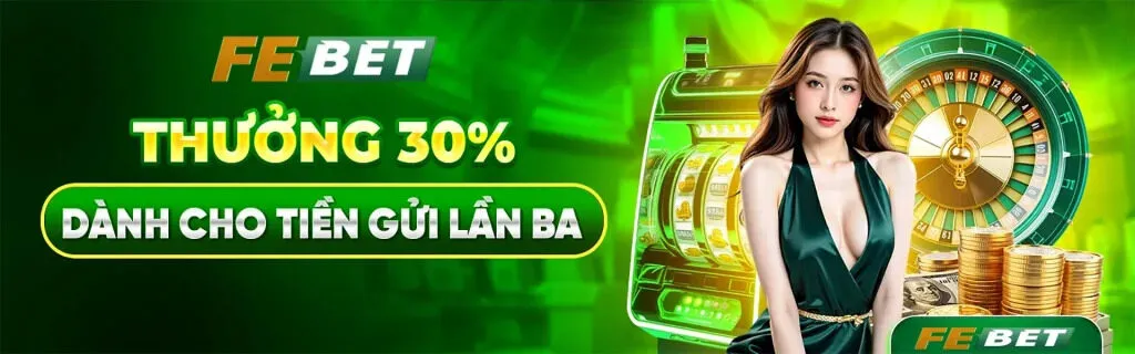 febet-banner